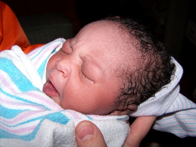 Camden Plouzek